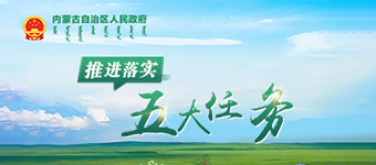 推進落實五大任務